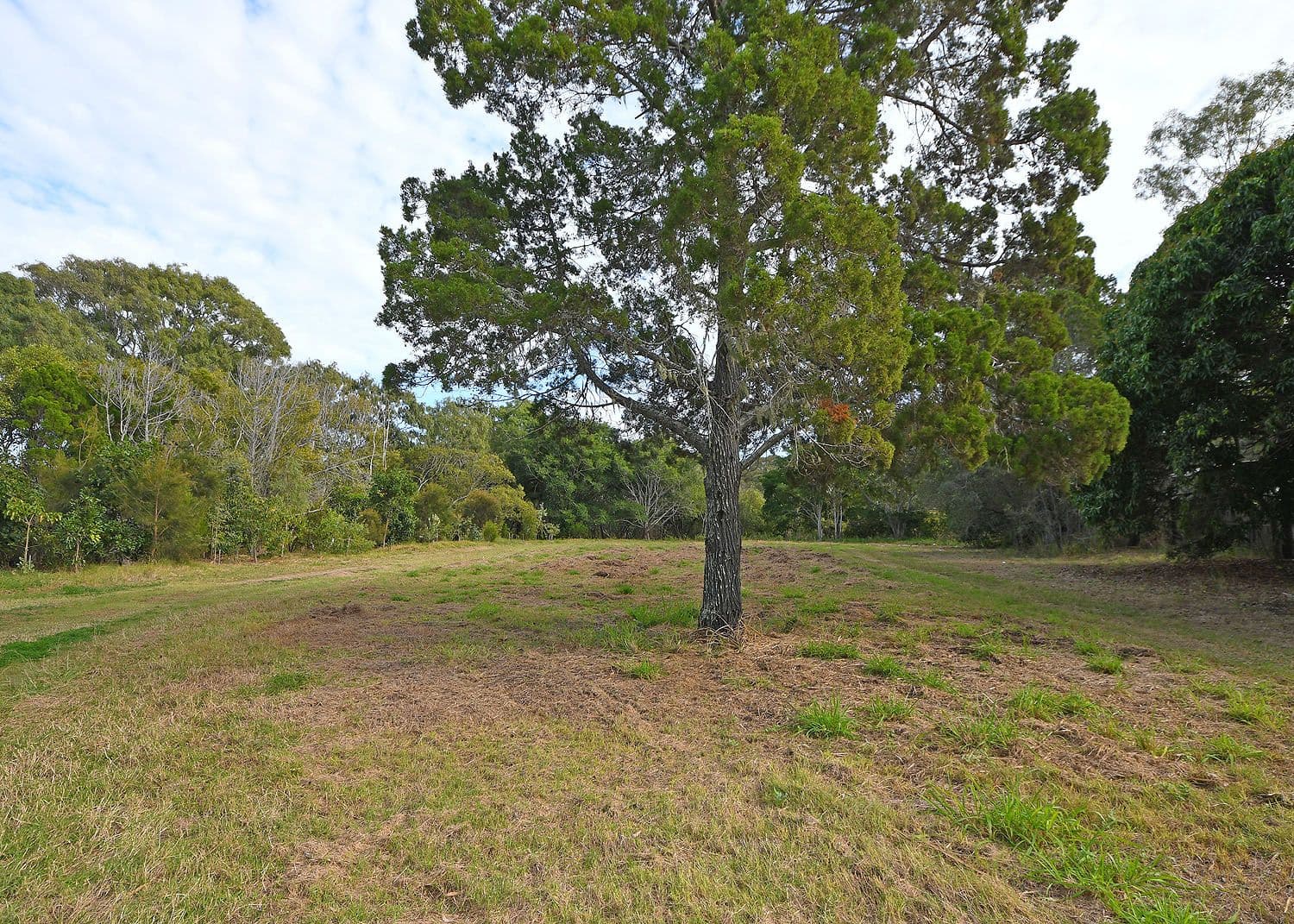 667 Esplanade, Urangan QLD 4655, Urangan - Thumbnail 7