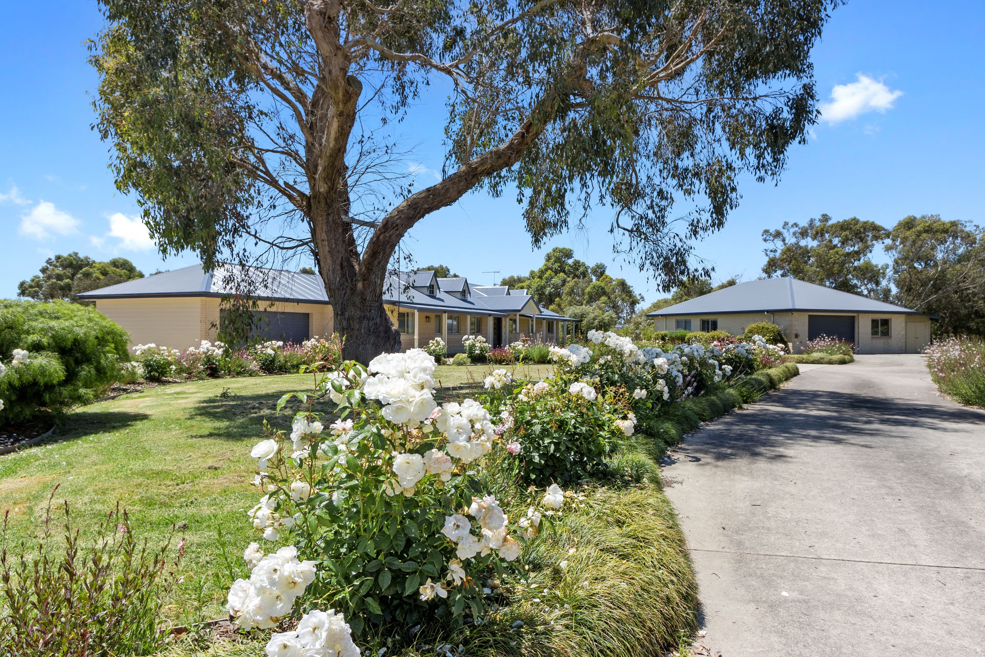 15 Cooper Lane, Inverloch VIC 3996, Inverloch - Thumbnail 3