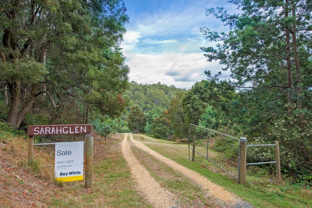 650 Upper Natone Road, Upper Natone TAS 7321, Upper Natone - Thumbnail 4