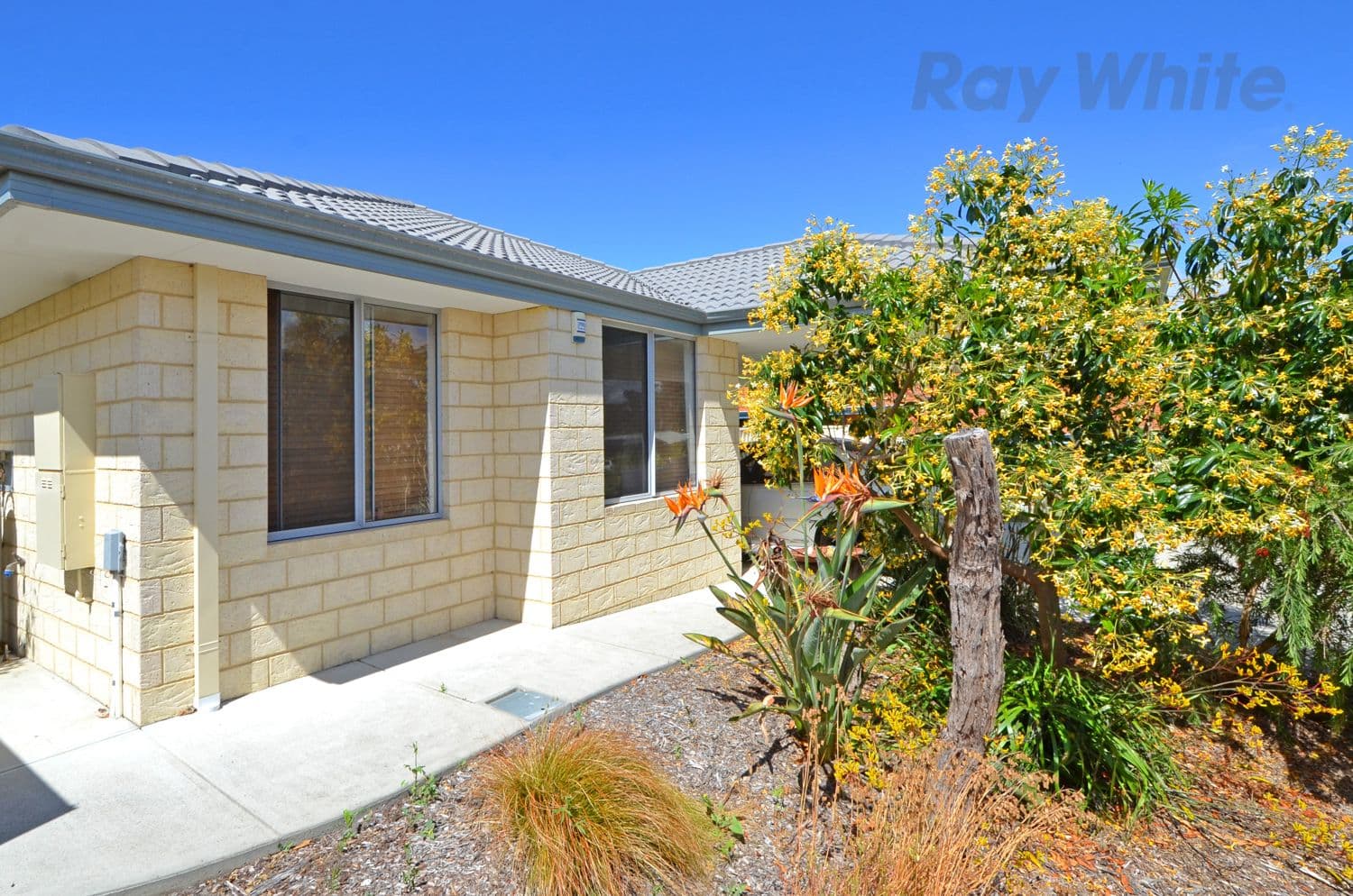 81 Katoomba Street, Orana WA 6330, Orana - Thumbnail 3