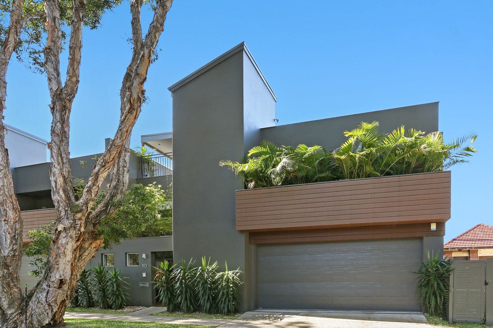 10 Ivy Street, Botany - Image 1