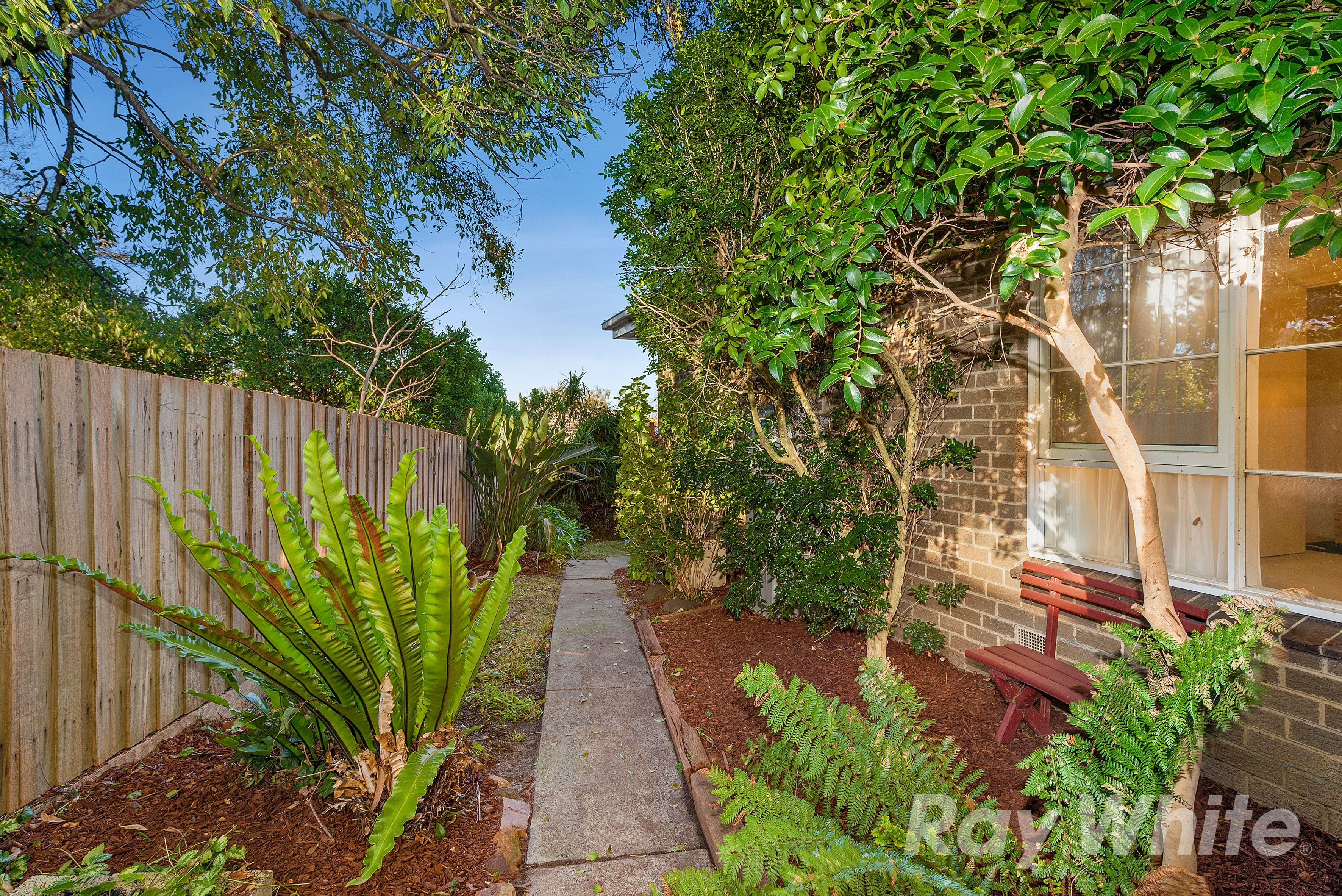 280 Lawrence Road, Mount Waverley VIC 3149, Mount Waverley - Thumbnail 5