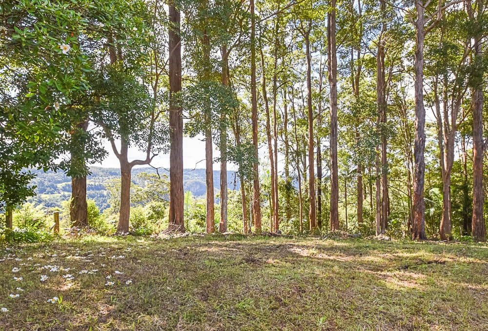 153-161 Alpine Terrace, Tamborine Mountain QLD 4272, Tamborine Mountain - Thumbnail 5