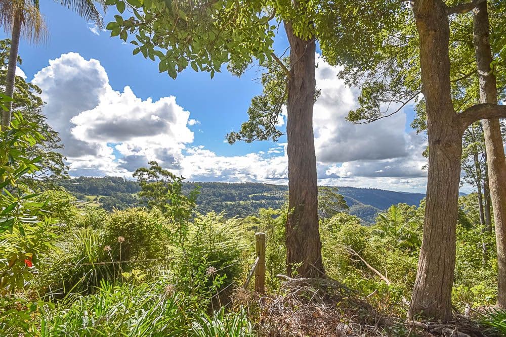 153-161 Alpine Terrace, Tamborine Mountain QLD 4272, Tamborine Mountain - Thumbnail 8