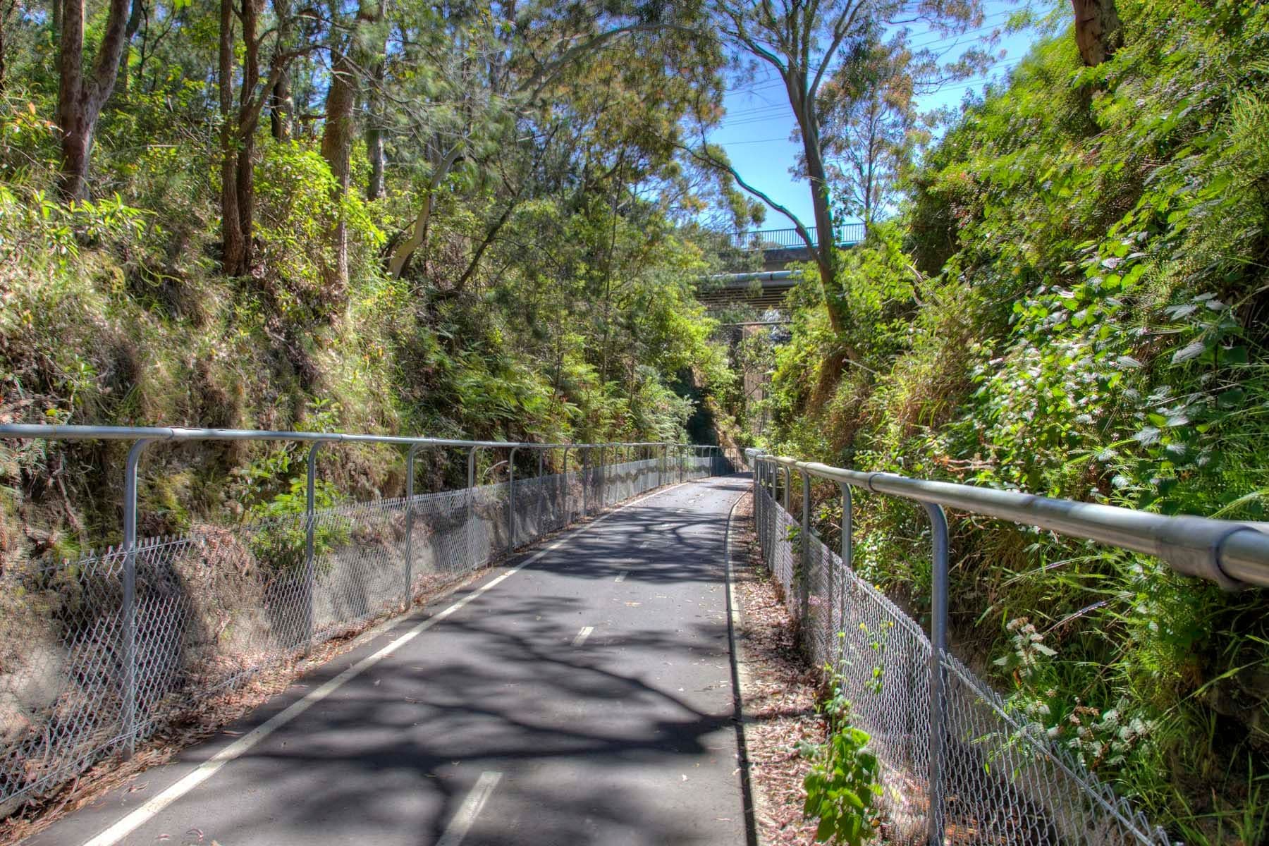 10 Cowper Street, Charlestown NSW 2290, Charlestown - Thumbnail 4