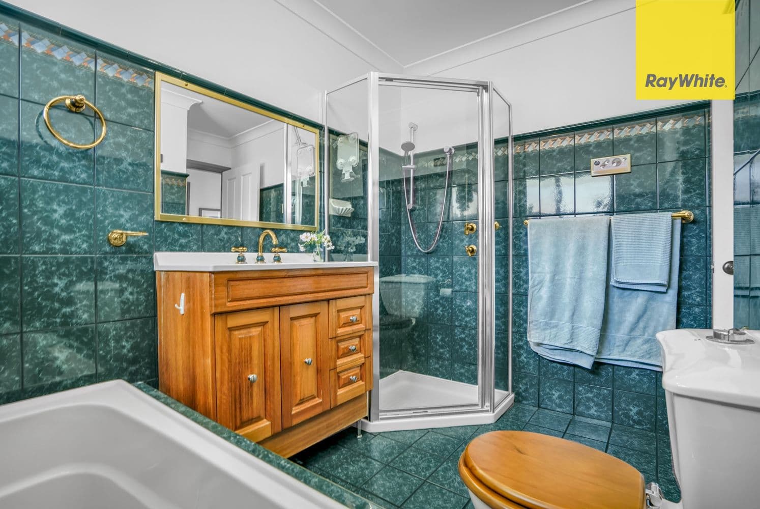 185 Metella Road, Toongabbie NSW 2146, Toongabbie - Thumbnail 8