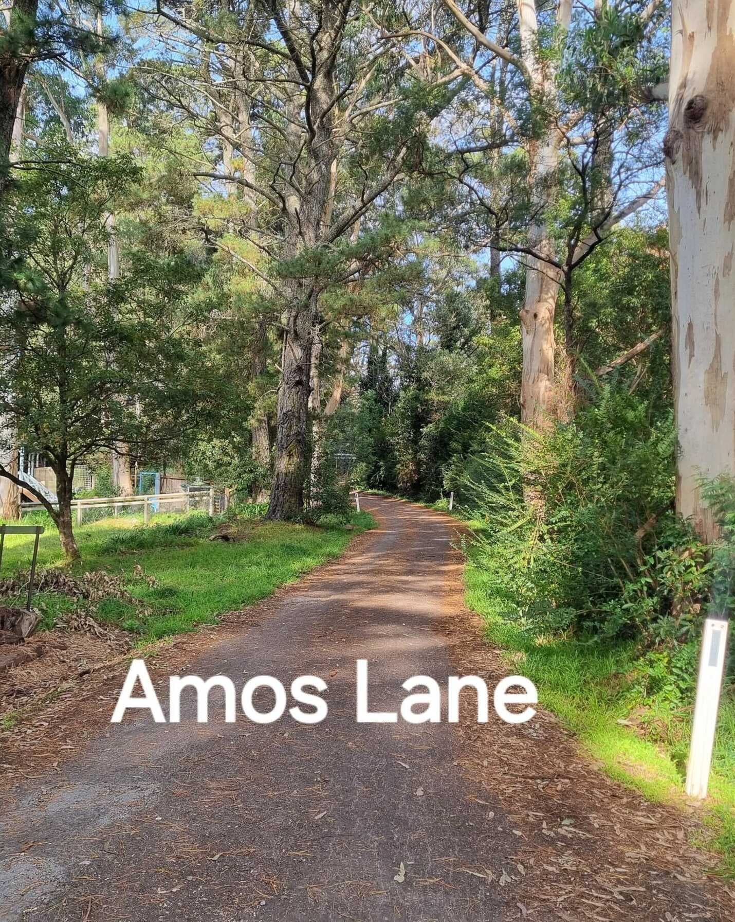2 Amos Lane Bundanoon, Bundanoon - Thumbnail 6