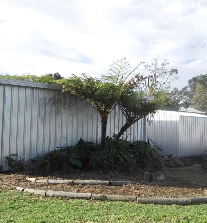 12 Booth Street, MOUNT BARKER WA 6324, Mount Barker - Thumbnail 6