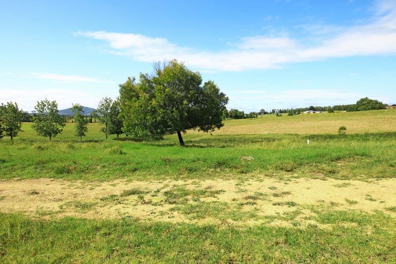 Lot 340 Huntingdale Park Estate, Berry NSW 2535, Berry - Thumbnail 5