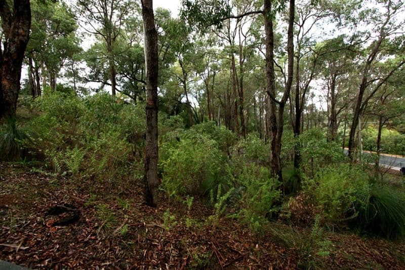 80 Falls Road, LESMURDIE WA 6076, Lesmurdie - Thumbnail 5