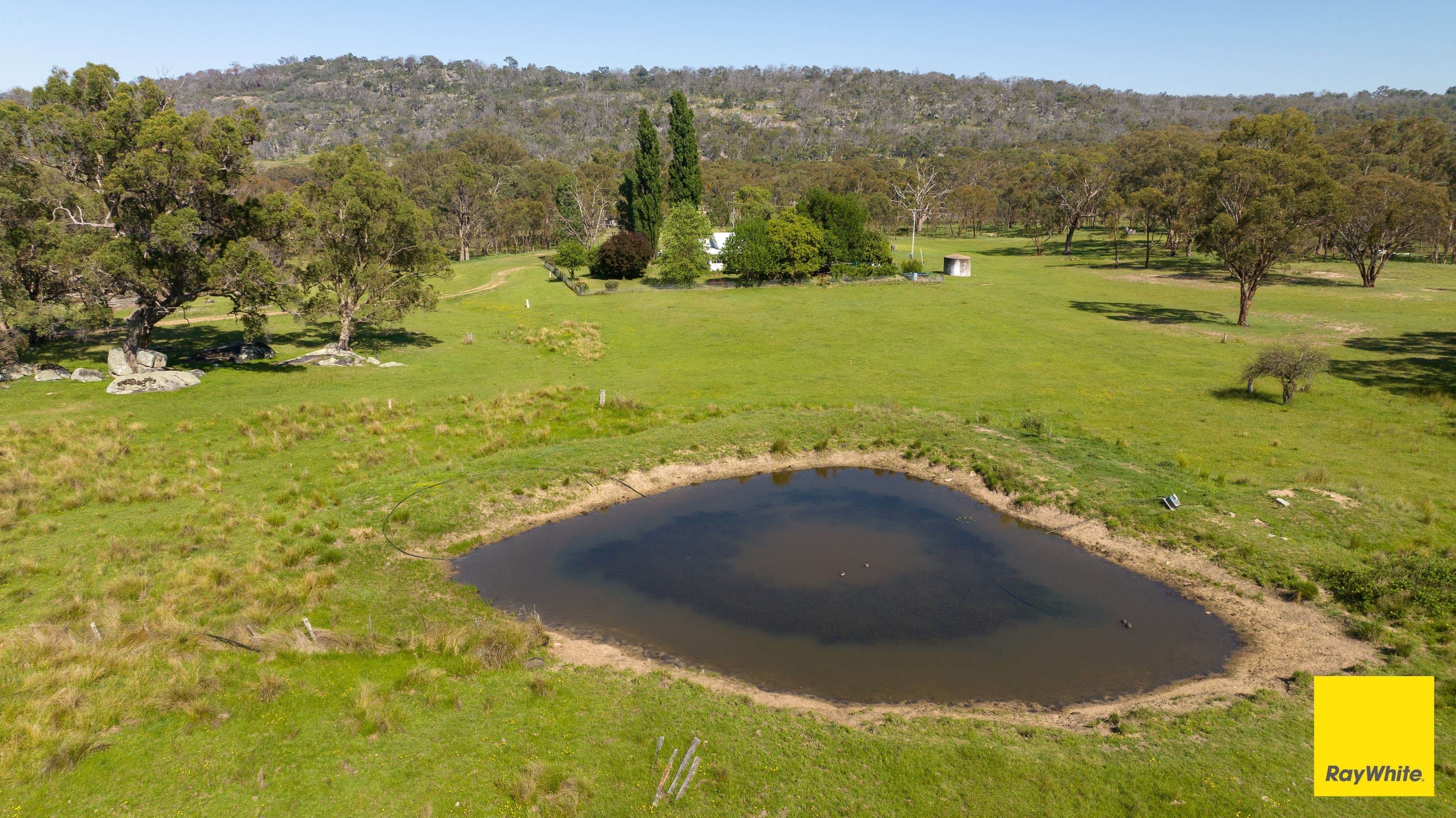 454 Torryburn Road, Uralla NSW 2358, Yarrowyck - Thumbnail 2