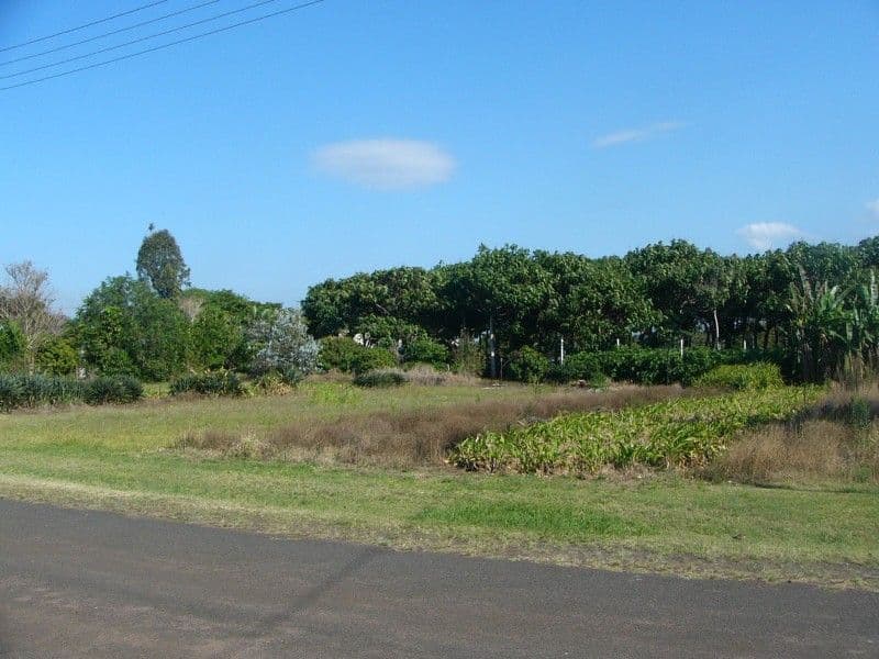 5 Sergiacomi Street, BUNDABERG QLD 4670, Bundaberg Central - Thumbnail 4