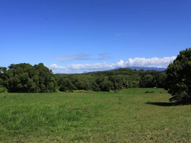 Lot 83 George Road, DAINTREE QLD 4873, Daintree - Image 1