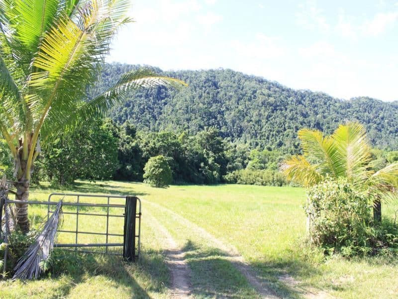 Lot 83 George Road, DAINTREE QLD 4873, Daintree - Thumbnail 2