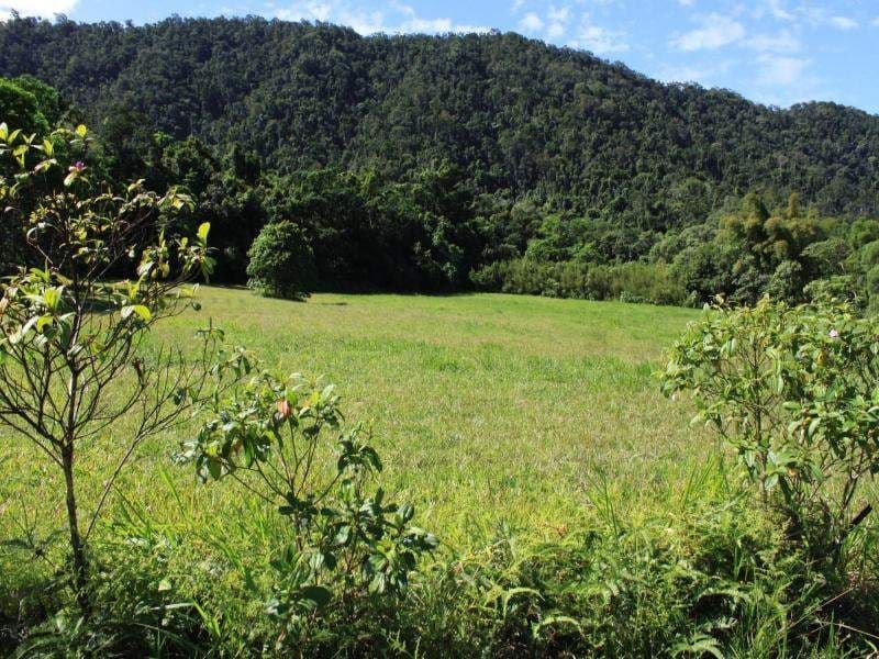Lot 83 George Road, DAINTREE QLD 4873, Daintree - Thumbnail 3