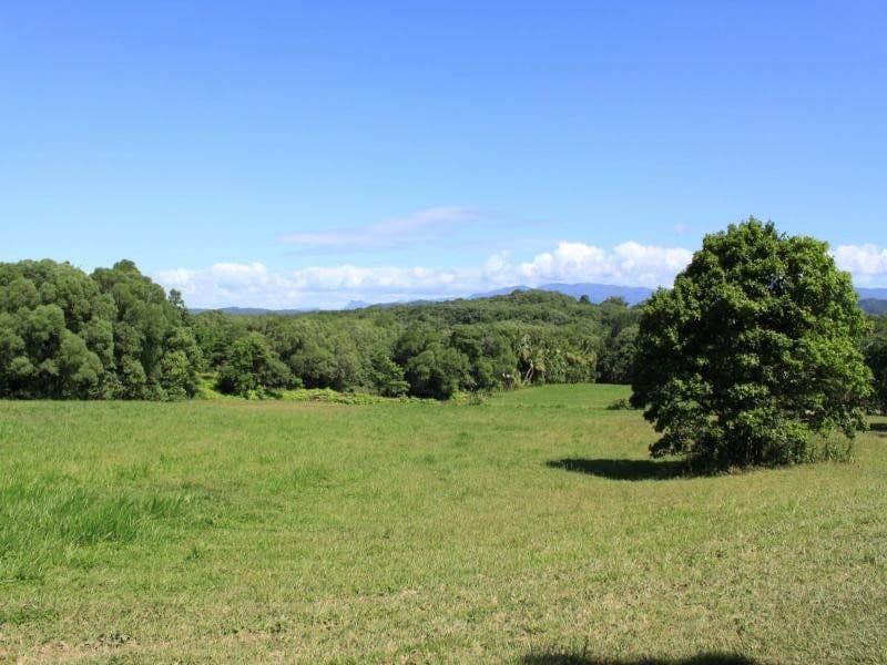Lot 83 George Road, DAINTREE QLD 4873, Daintree - Thumbnail 5