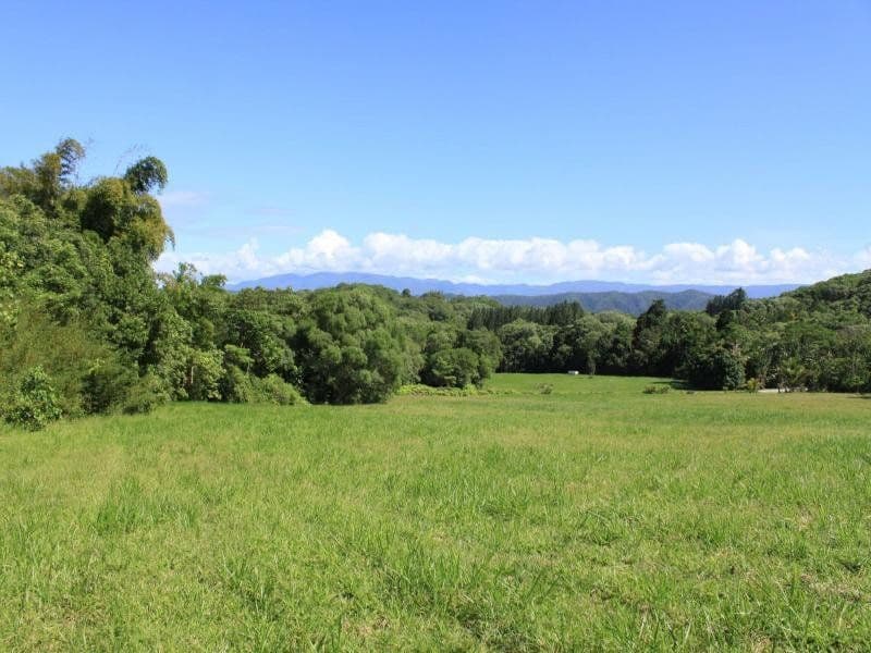 Lot 83 George Road, DAINTREE QLD 4873, Daintree - Thumbnail 6