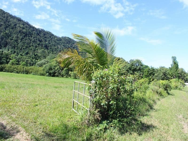 Lot 83 George Road, DAINTREE QLD 4873, Daintree - Thumbnail 7