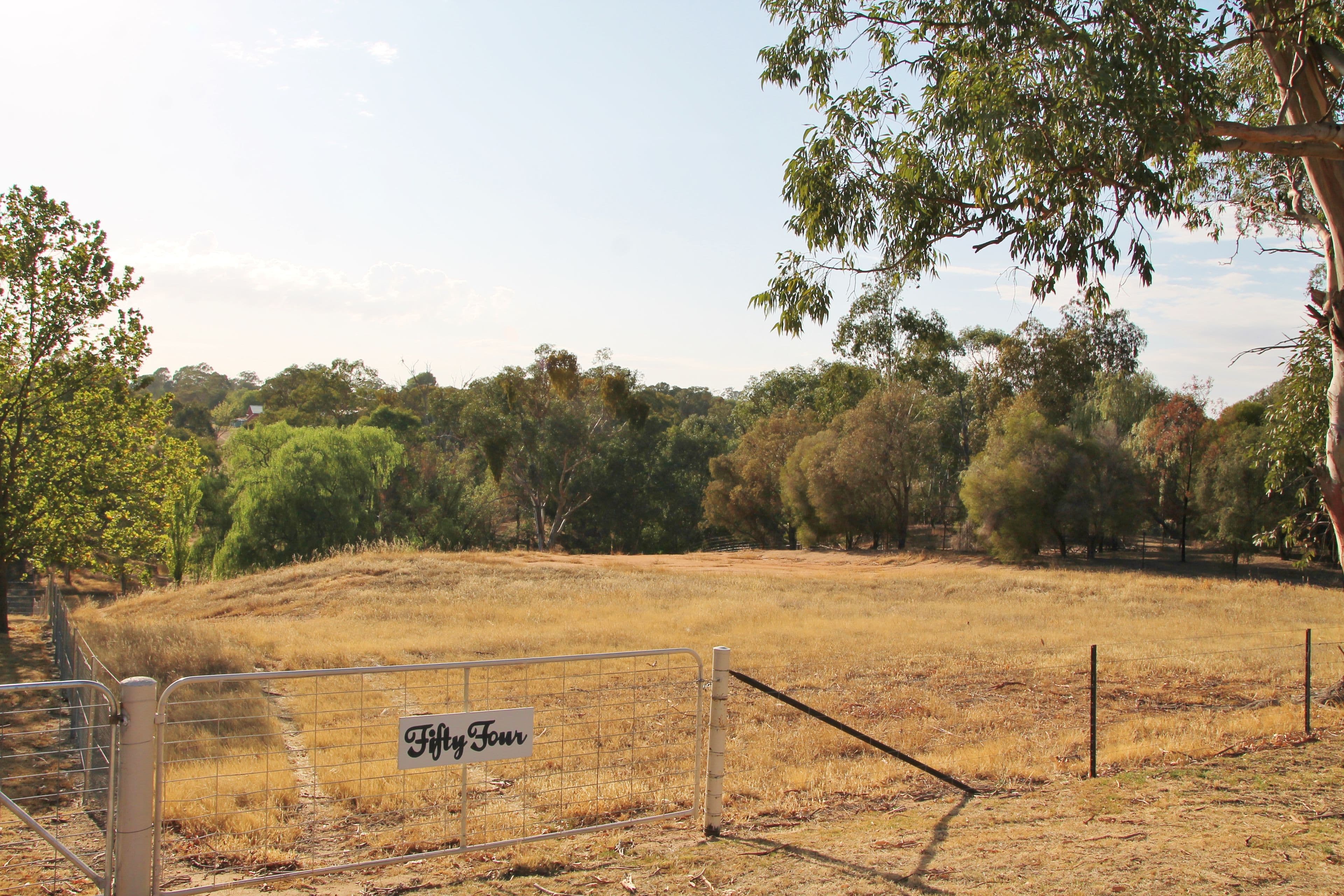 54 Petticoat Lane, Young NSW 2594, Young - Image 1