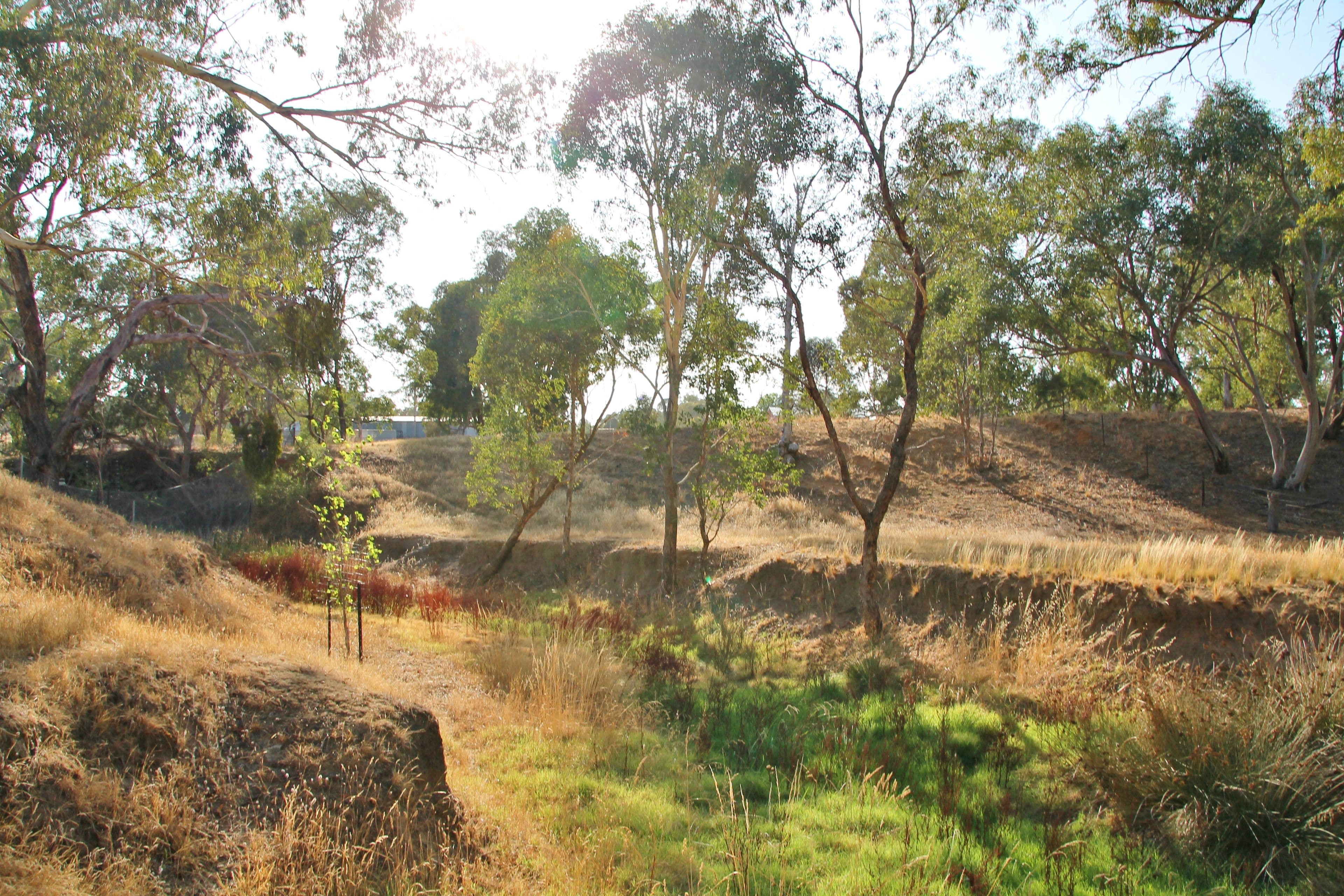 54 Petticoat Lane, Young NSW 2594, Young - Thumbnail 6