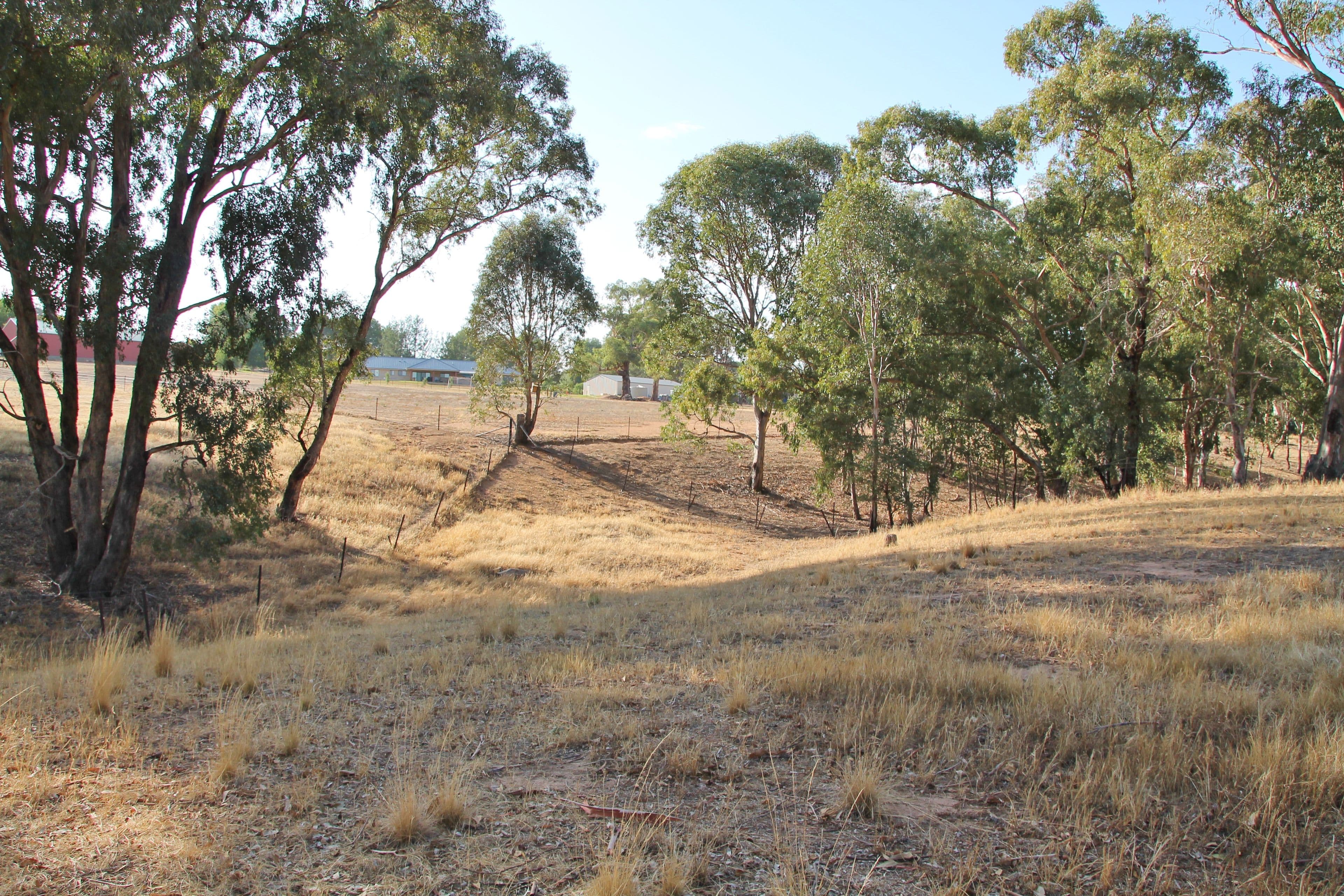 54 Petticoat Lane, Young NSW 2594, Young - Thumbnail 7