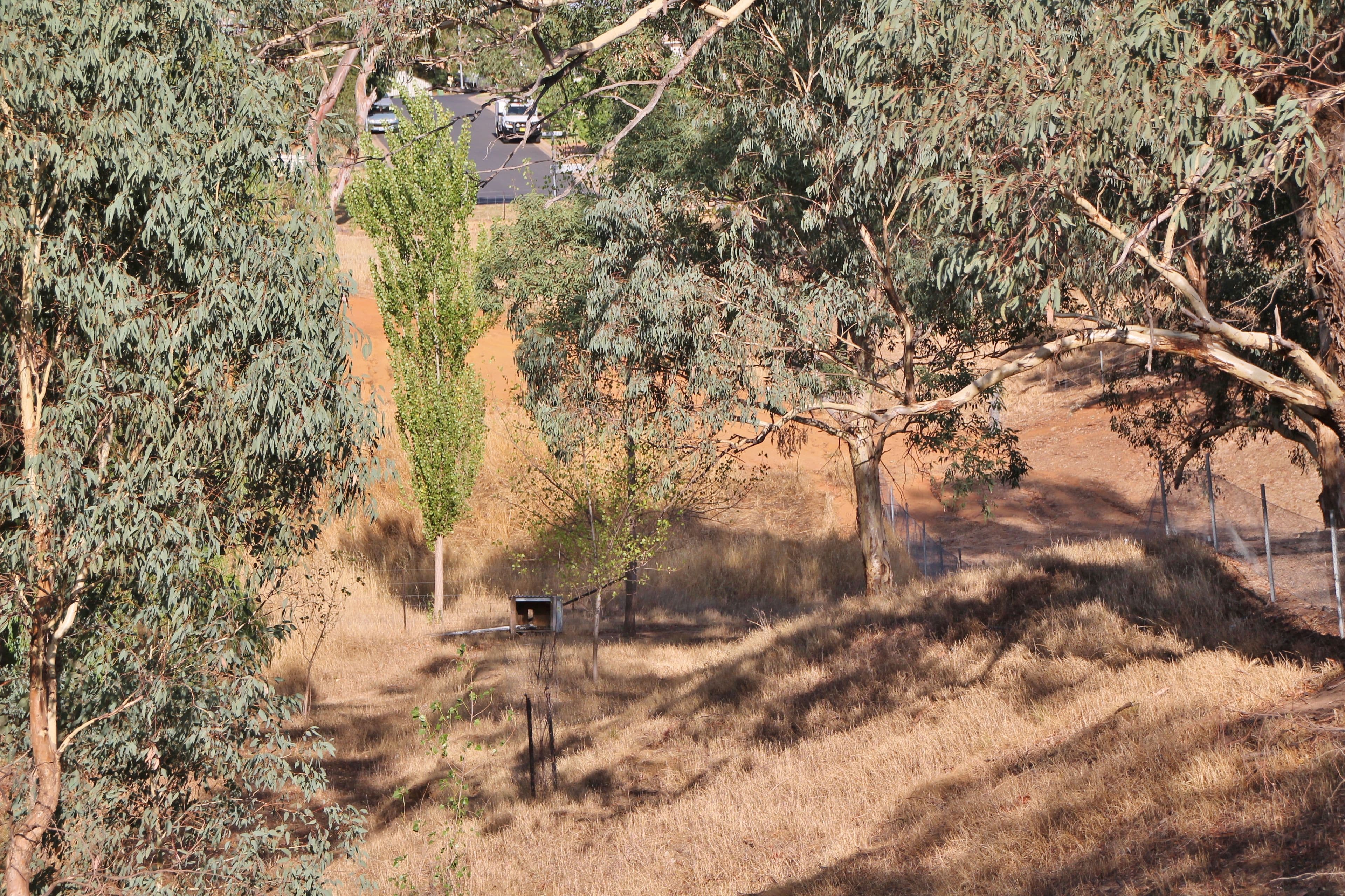 54 Petticoat Lane, Young NSW 2594, Young - Thumbnail 8