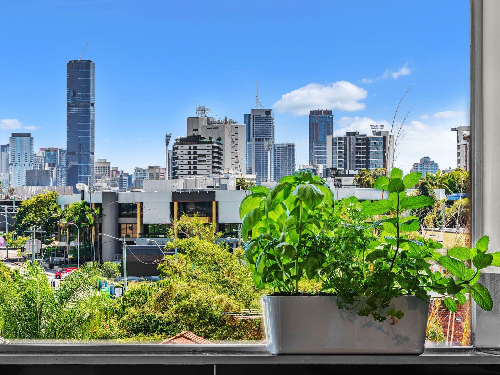 8 Regina Street, Greenslopes QLD 4120, Greenslopes - Thumbnail 4