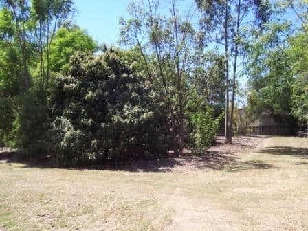 3 May Court, WITHCOTT QLD 4352, Withcott - Thumbnail 2
