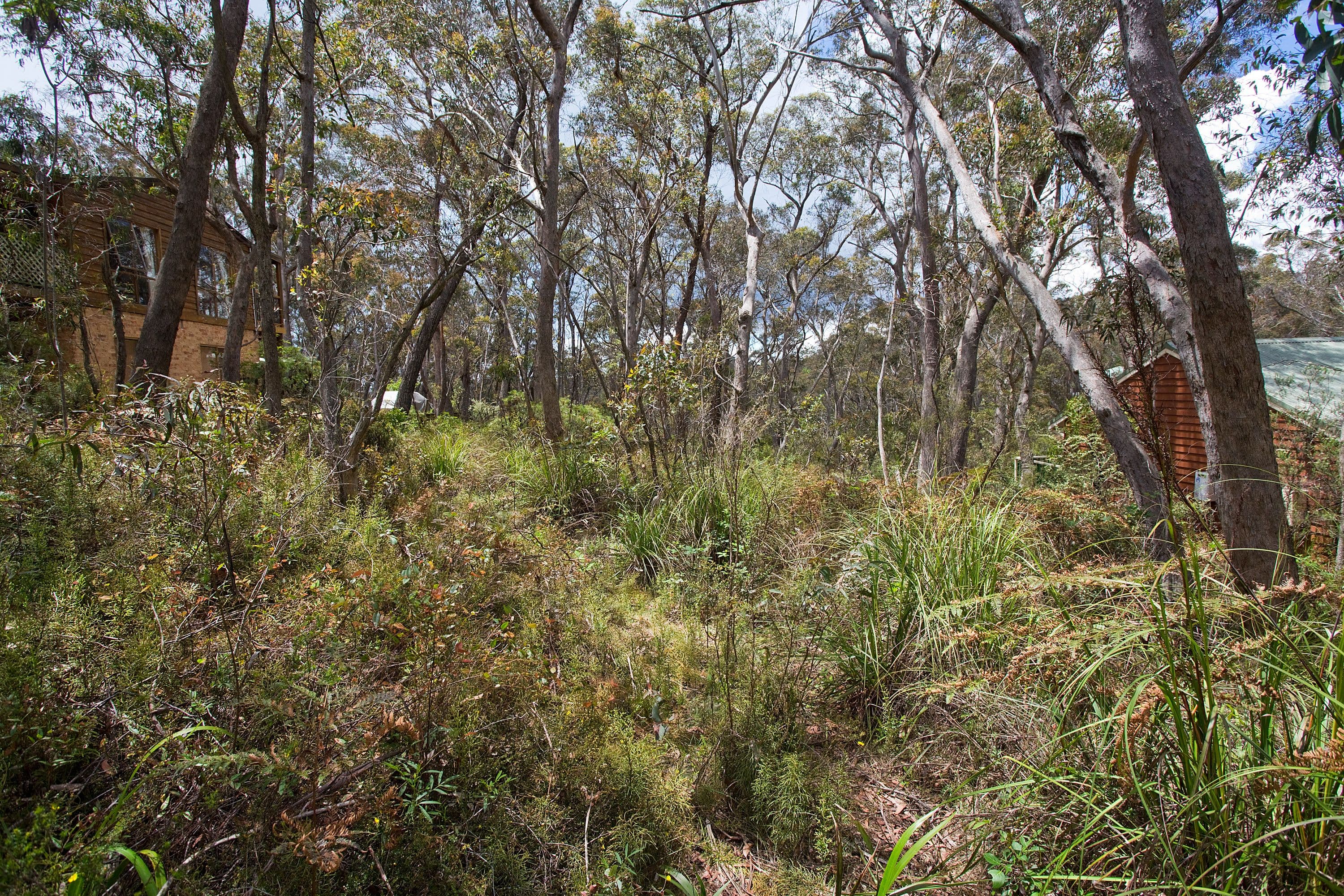 25 Fourth Avenue, Katoomba NSW 2780, Katoomba - Image 1