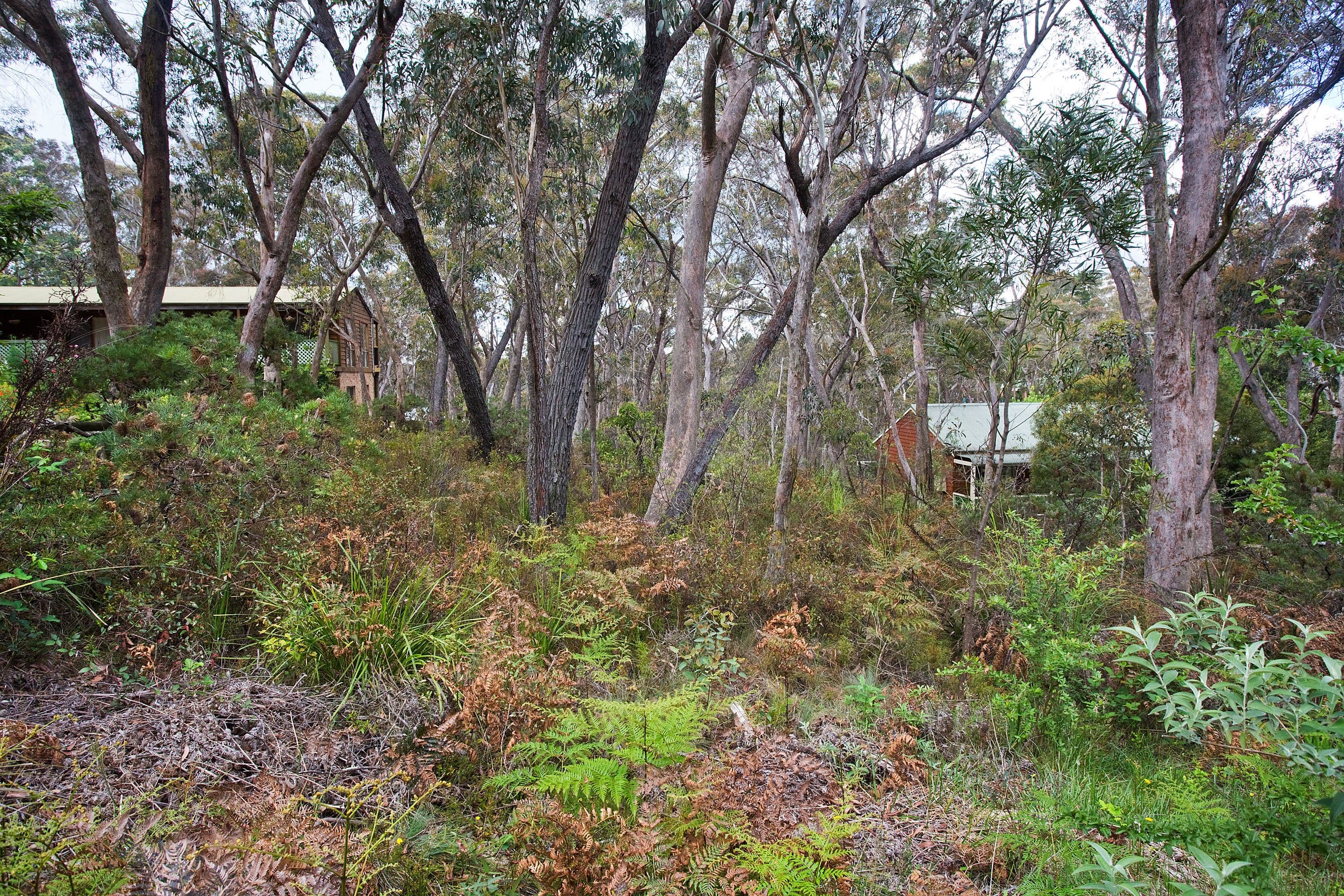 25 Fourth Avenue, Katoomba NSW 2780, Katoomba - Thumbnail 3
