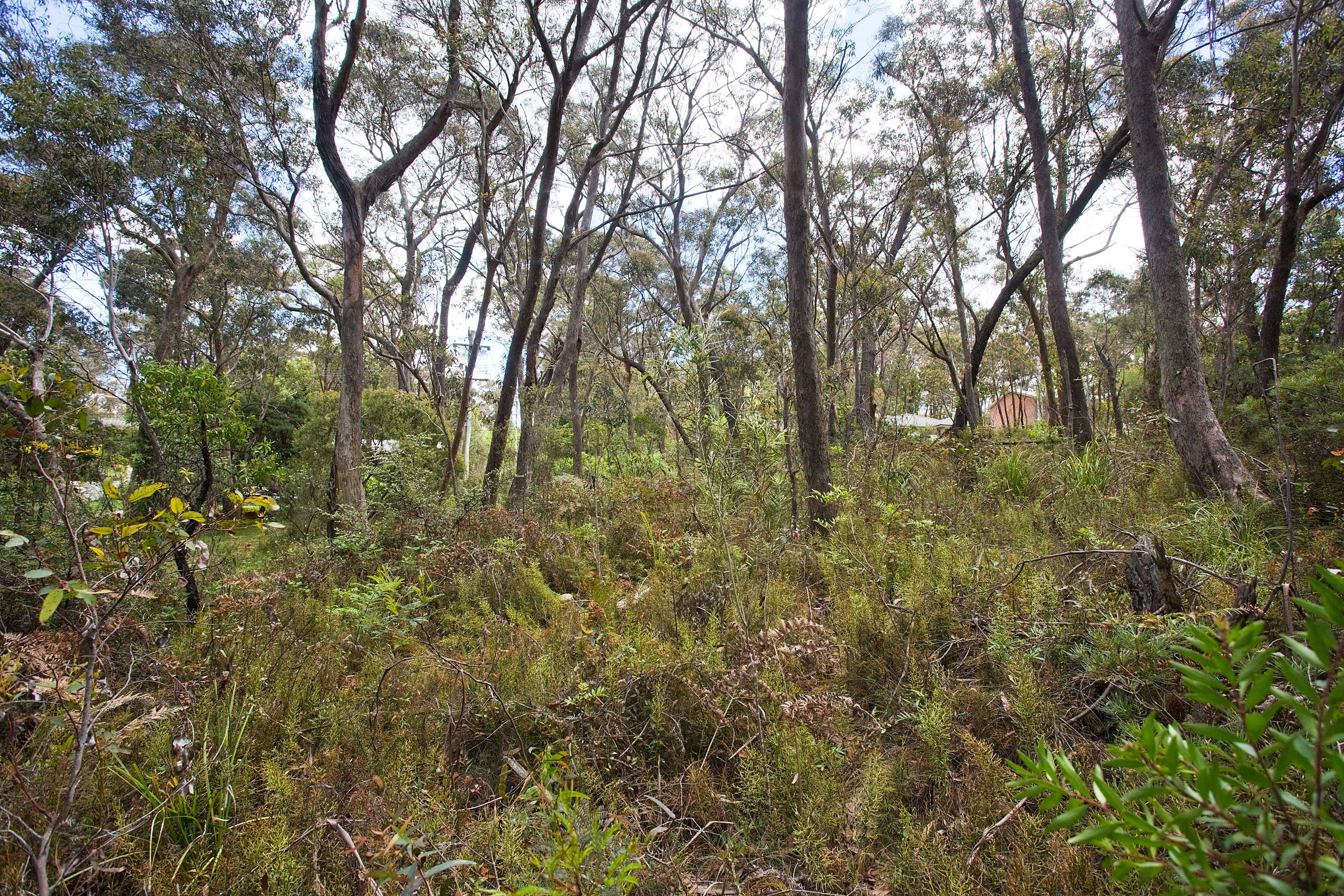 25 Fourth Avenue, Katoomba NSW 2780, Katoomba - Thumbnail 5