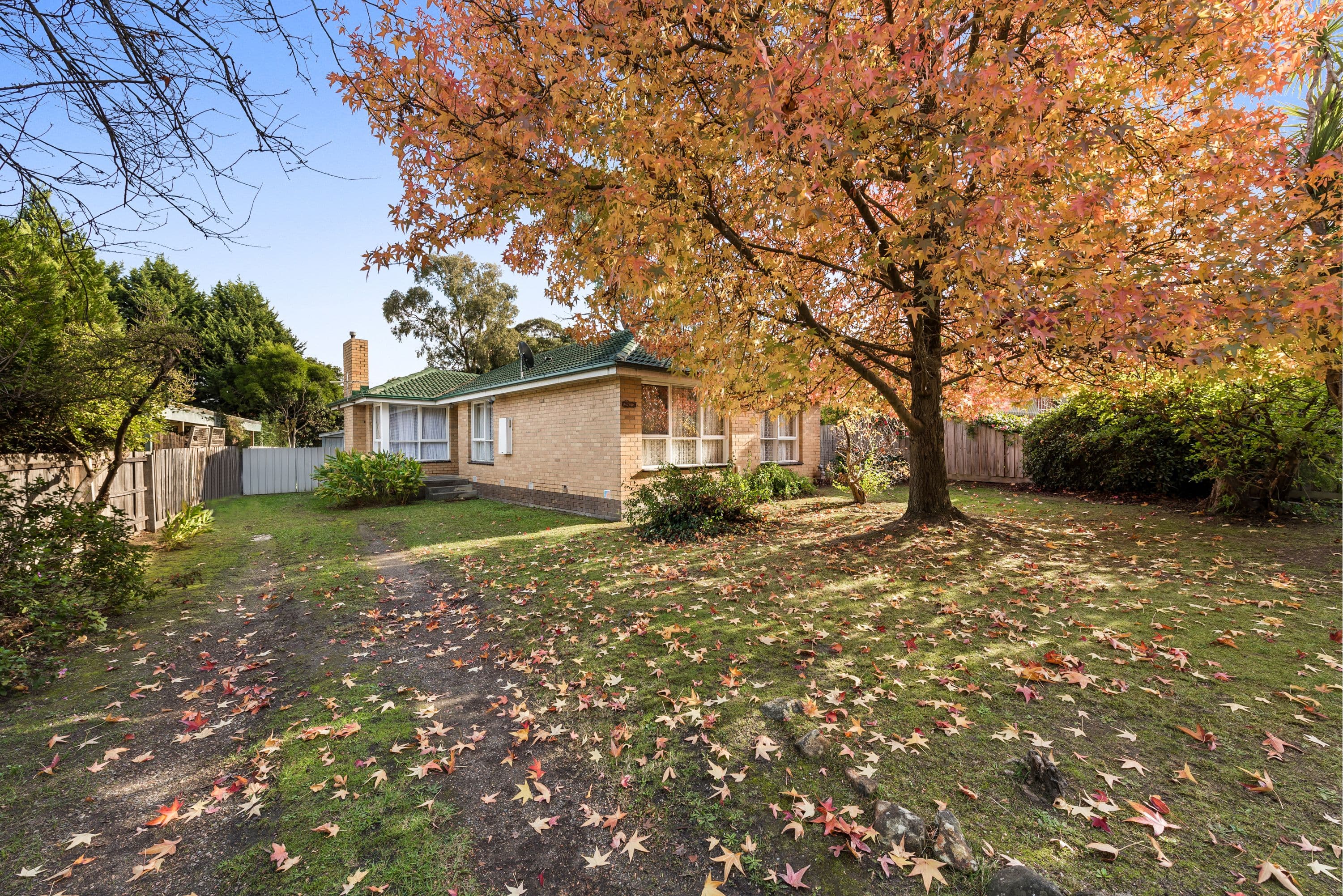 6 Annette Grove, Boronia VIC 3155, Boronia - Thumbnail 3