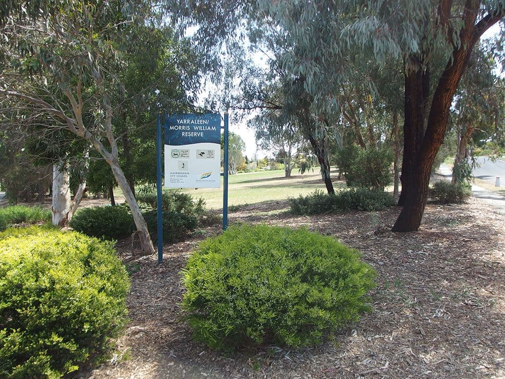 29 Gympie Street, BULLEEN VIC 3105, Bulleen - Thumbnail 8