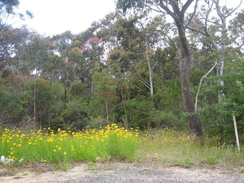 42 Delmonte Avenue, MEDLOW BATH NSW 2780, Medlow Bath - Image 1