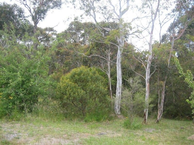 42 Delmonte Avenue, MEDLOW BATH NSW 2780, Medlow Bath - Thumbnail 2