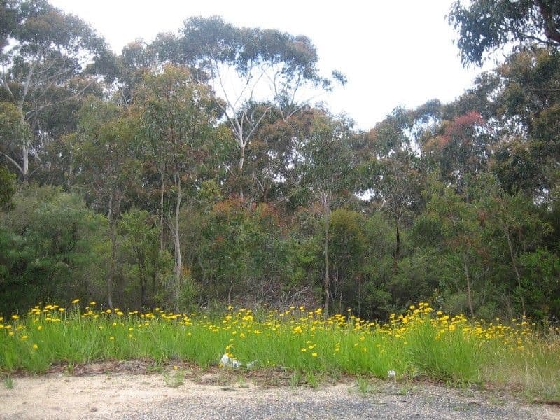 42 Delmonte Avenue, MEDLOW BATH NSW 2780, Medlow Bath - Thumbnail 3
