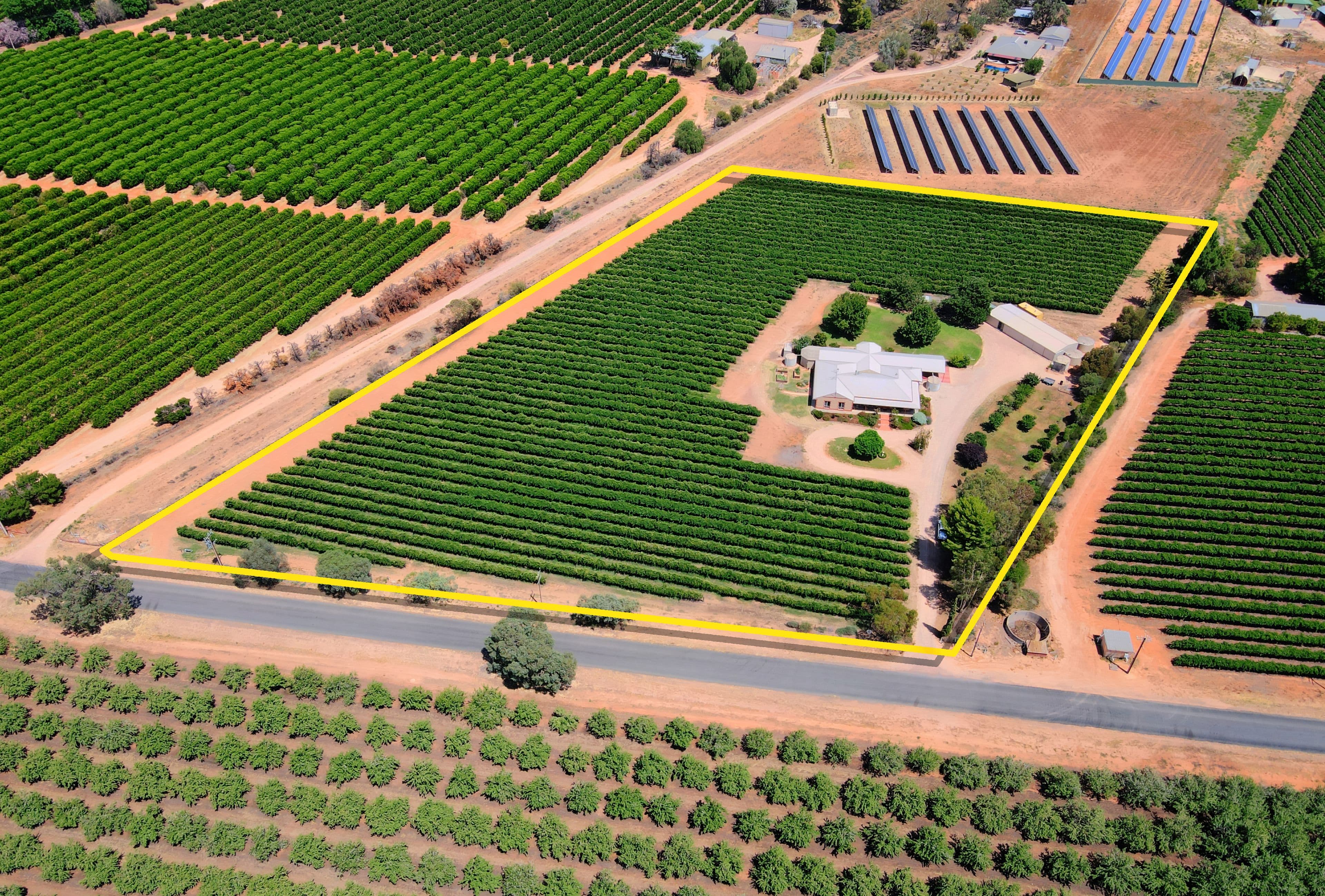 60 Chowilla Street, Renmark SA 5341, Renmark West - Thumbnail 2