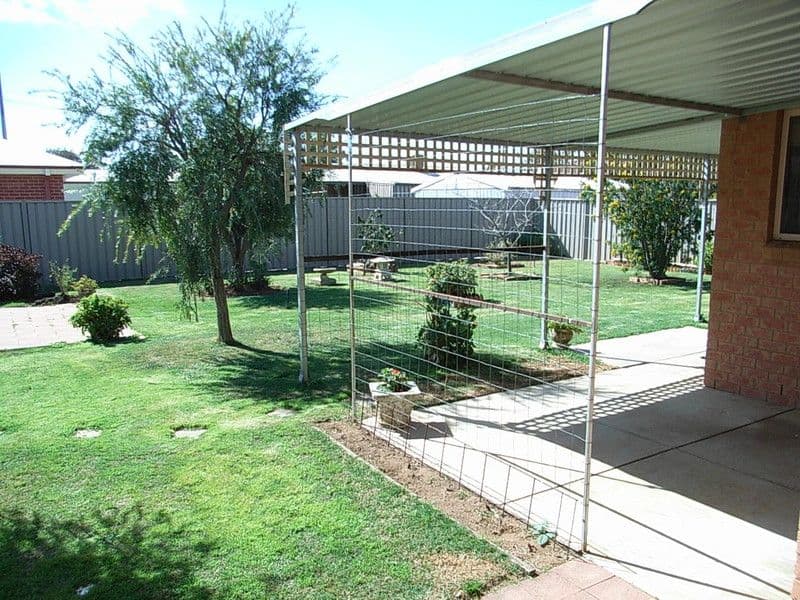 35 Deakin Grove, Tongala VIC 3621, Tongala - Thumbnail 7