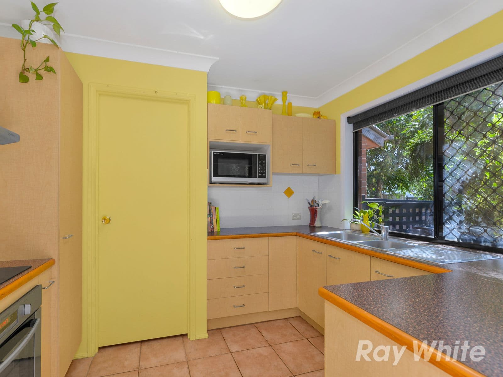 16 Bermingham Street, Alderley QLD 4051, Alderley - Thumbnail 8