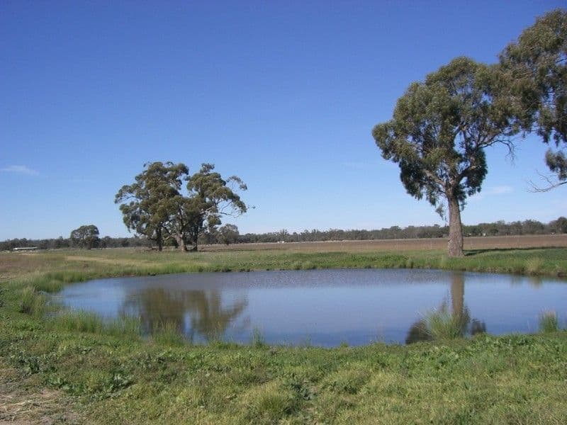 279 Dahwilly Lane, DENILIQUIN NSW 2710, Deniliquin - Thumbnail 2