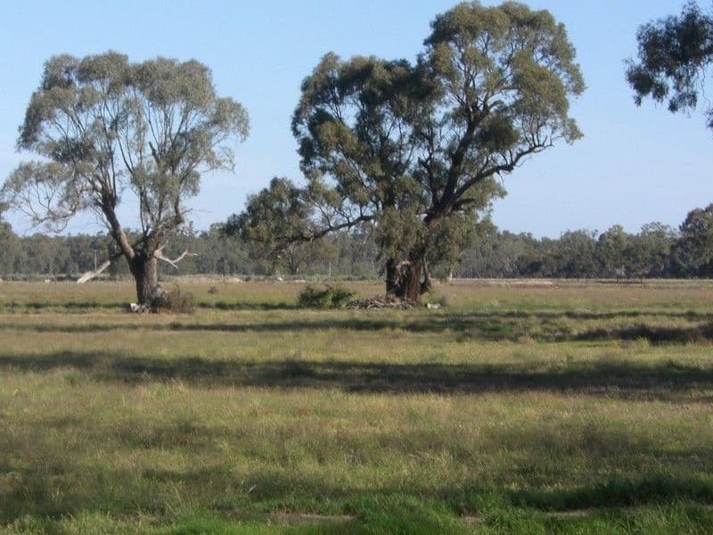 279 Dahwilly Lane, DENILIQUIN NSW 2710, Deniliquin - Thumbnail 5