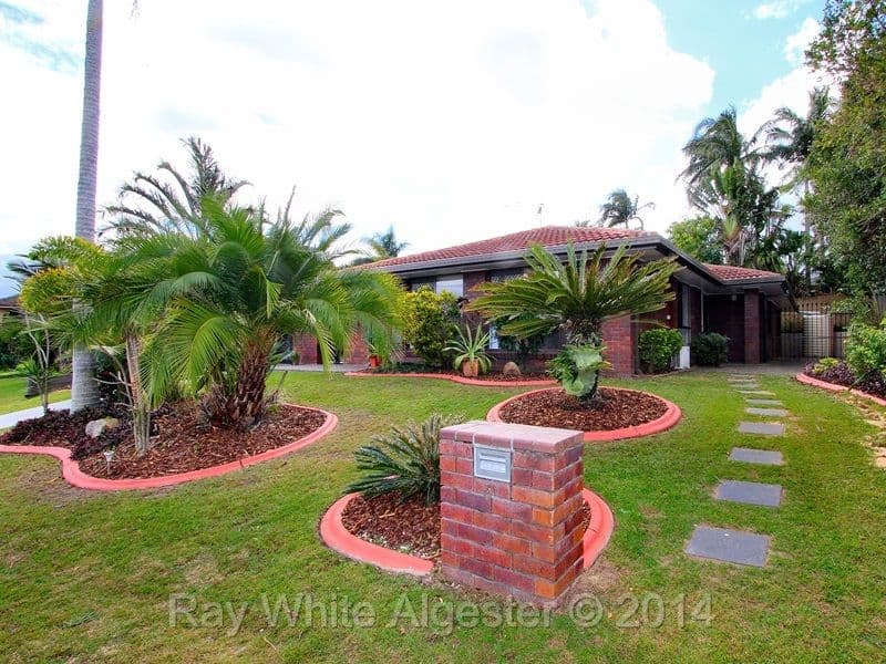 31 Booyong Street, ALGESTER QLD 4115, Algester - Thumbnail 8