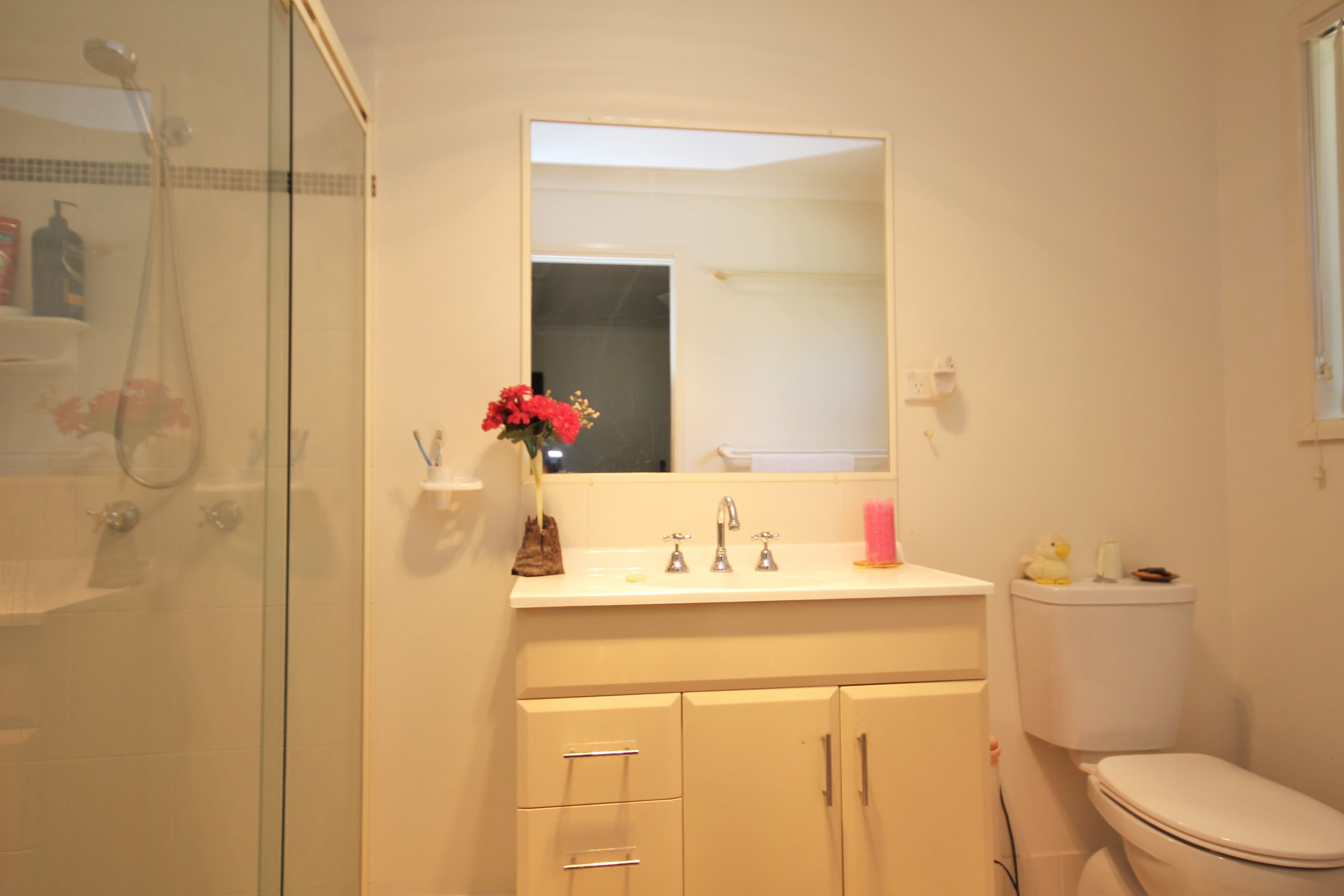 8 Carrington Street, Grafton - Thumbnail 6