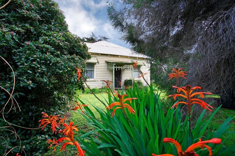 12 Ozone Street, RYE VIC 3941, Rye - Thumbnail 5