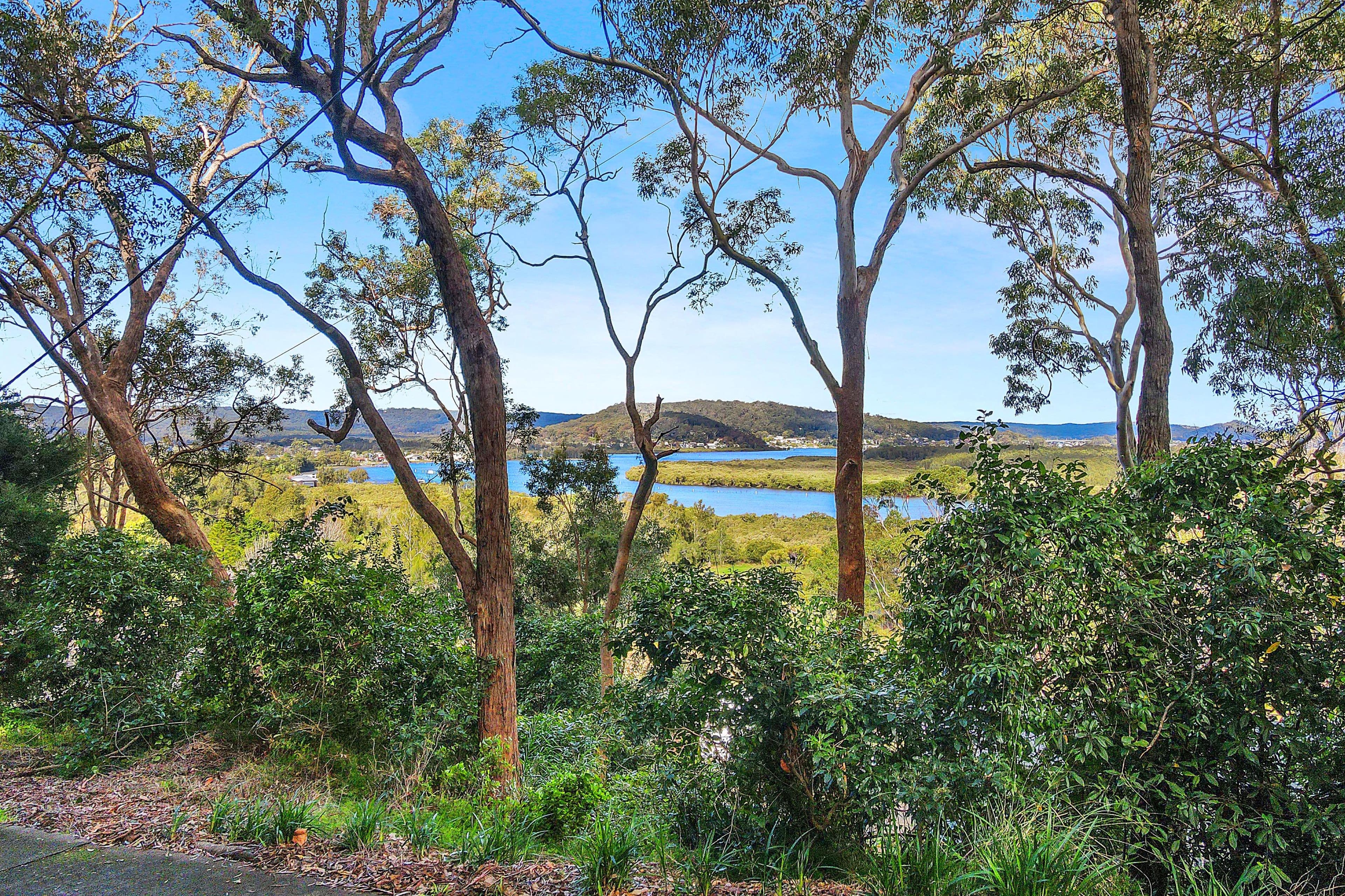 23 Treeview Place, Saratoga NSW 2251, Saratoga - Thumbnail 2