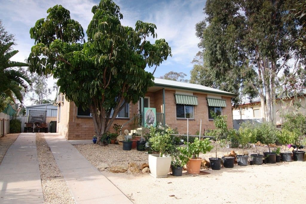 53 Drabsch Street, LOXTON SA 5333, Loxton - Image 1