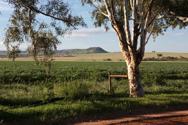 2 Cheviot Crescent, DEEPDALE WA 6532, Deepdale - Thumbnail 6