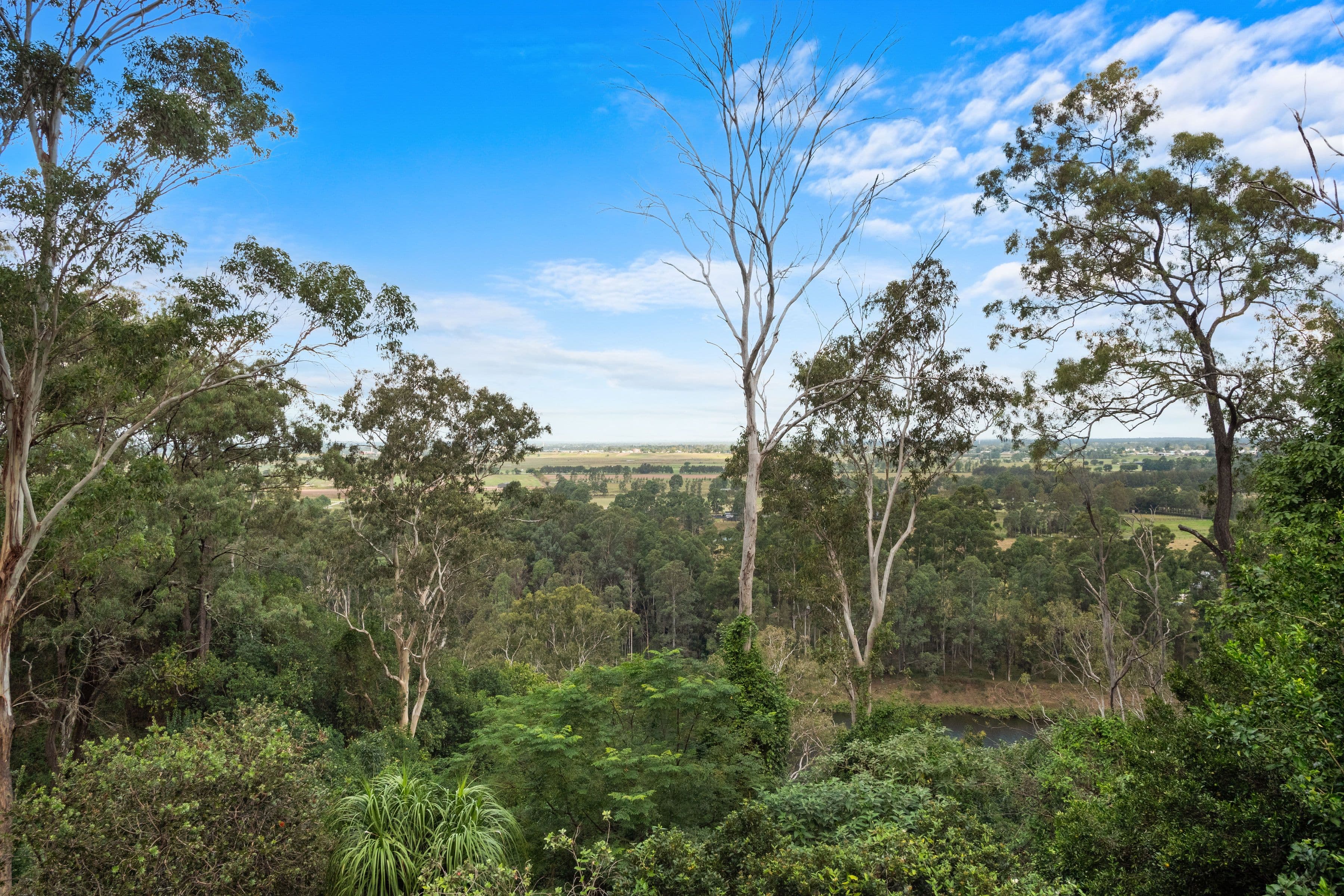 326 Terrace Road, North Richmond NSW 2754, North Richmond - Thumbnail 3