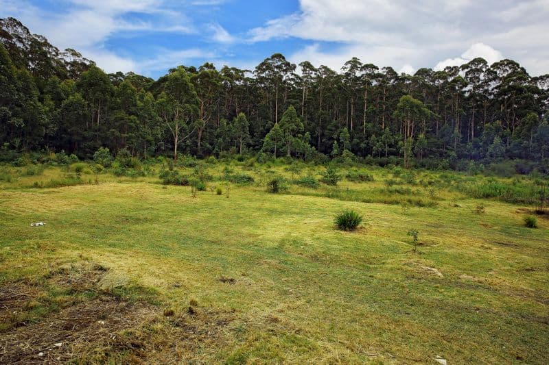107 Battunga Drive, Tomerong NSW 2540, Tomerong - Image 1
