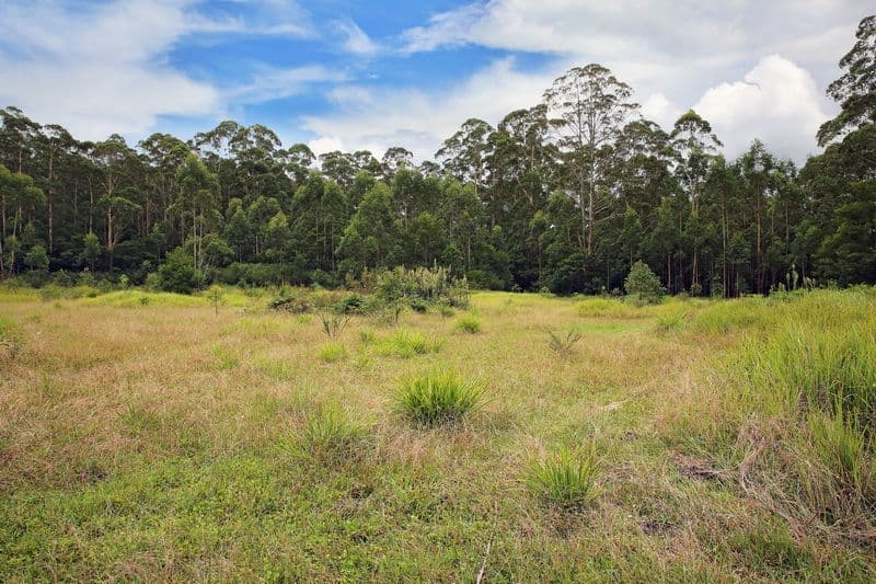107 Battunga Drive, Tomerong NSW 2540, Tomerong - Thumbnail 2